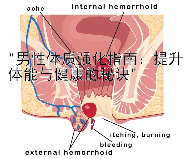 男性体质强化指南：提升体能与健康的秘诀