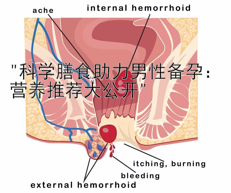 科学膳食助力男性备孕：营养推荐大公开