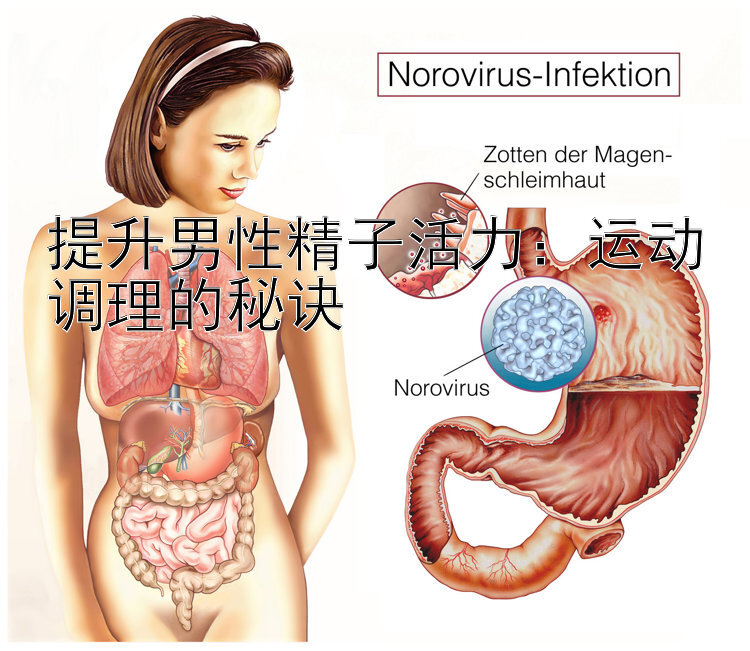 提升男性精子活力：运动调理的秘诀