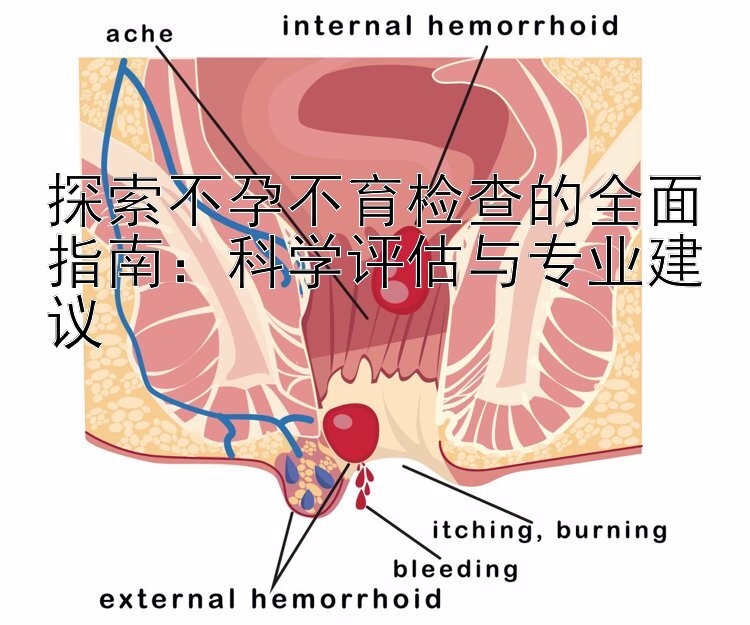 探索不孕不育检查的全面指南：科学评估与专业建议