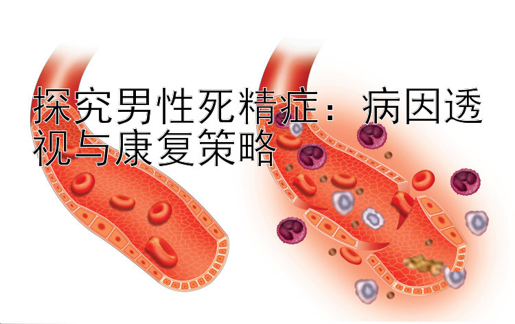 探究男性死精症：病因透视与康复策略