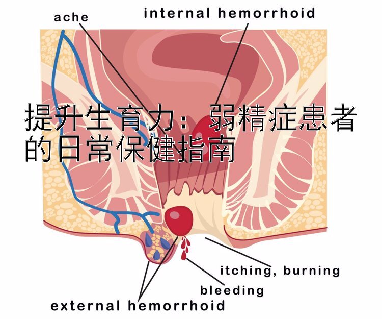 提升生育力：弱精症患者的日常保健指南