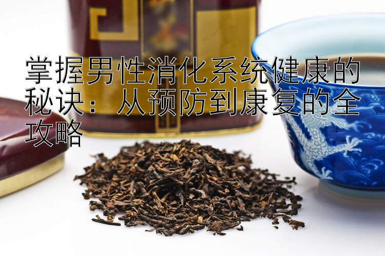 掌握男性消化系统健康的秘诀：从预防到康复的全攻略