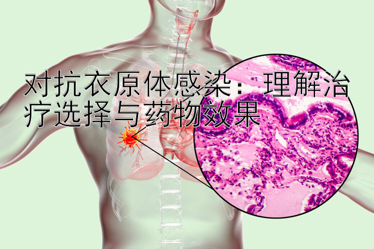 对抗衣原体感染：理解治疗选择与药物效果