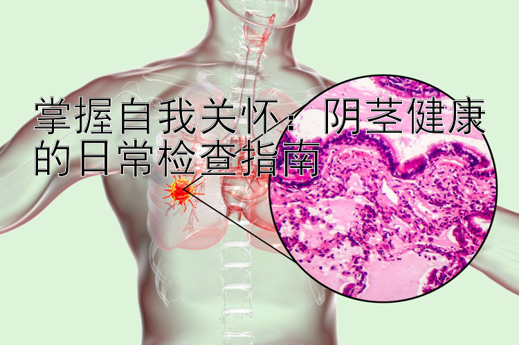 掌握自我关怀：阴茎健康的日常检查指南