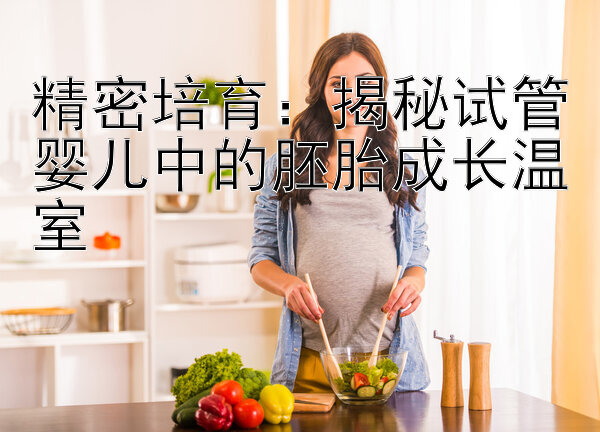 精密培育：揭秘试管婴儿中的胚胎成长温室