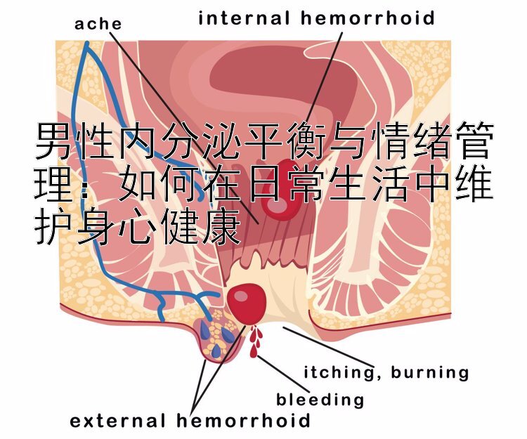 男性内分泌平衡与情绪管理：如何在日常生活中维护身心健康