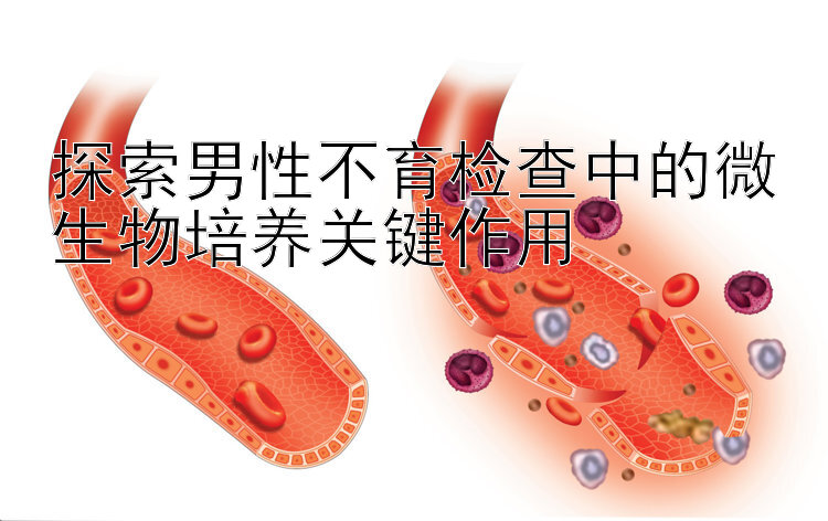 探索男性不育检查中的微生物培养关键作用