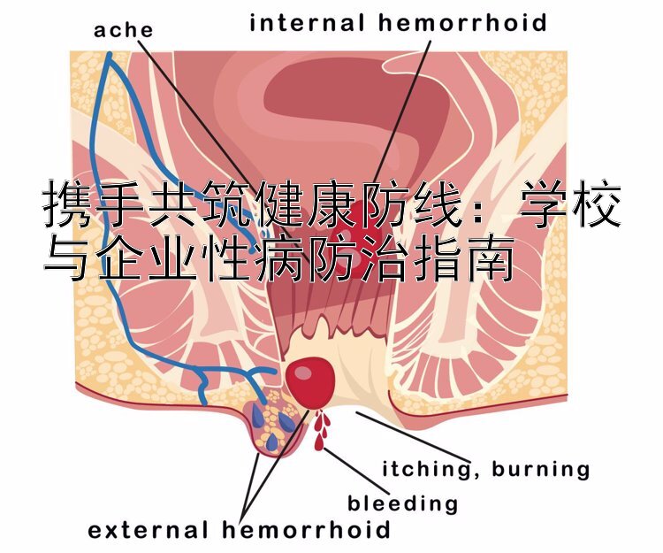 携手共筑健康防线：学校与企业性病防治指南